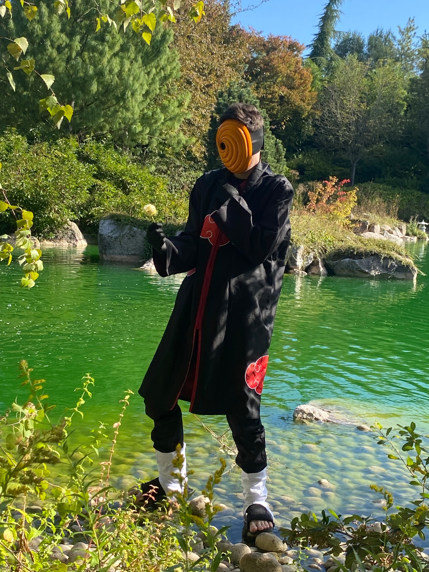 Tobi — photo 19