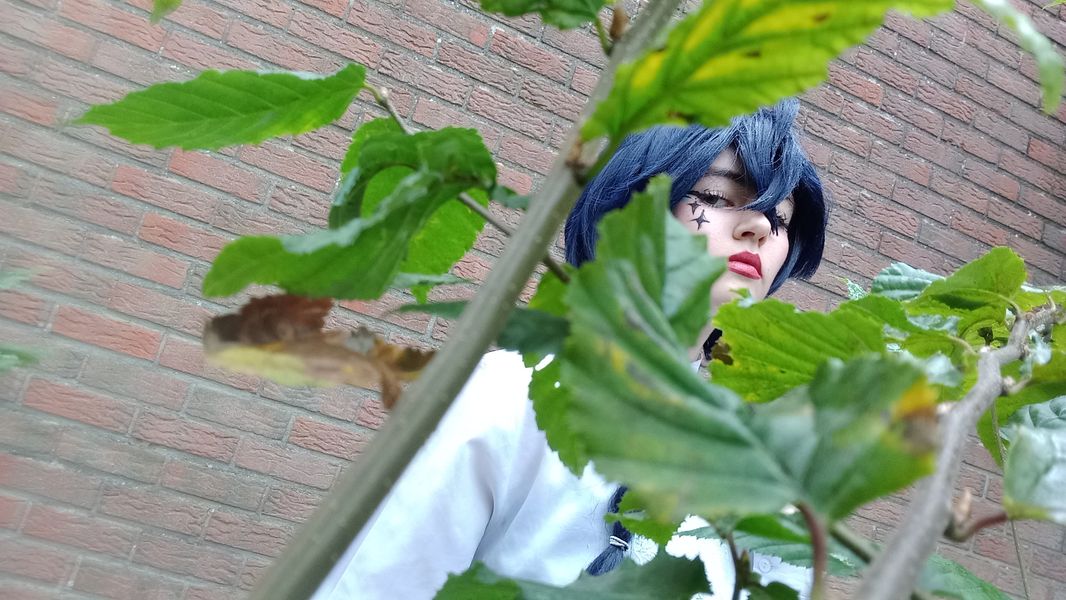 Tsikistar._ - Vanitas 2024 