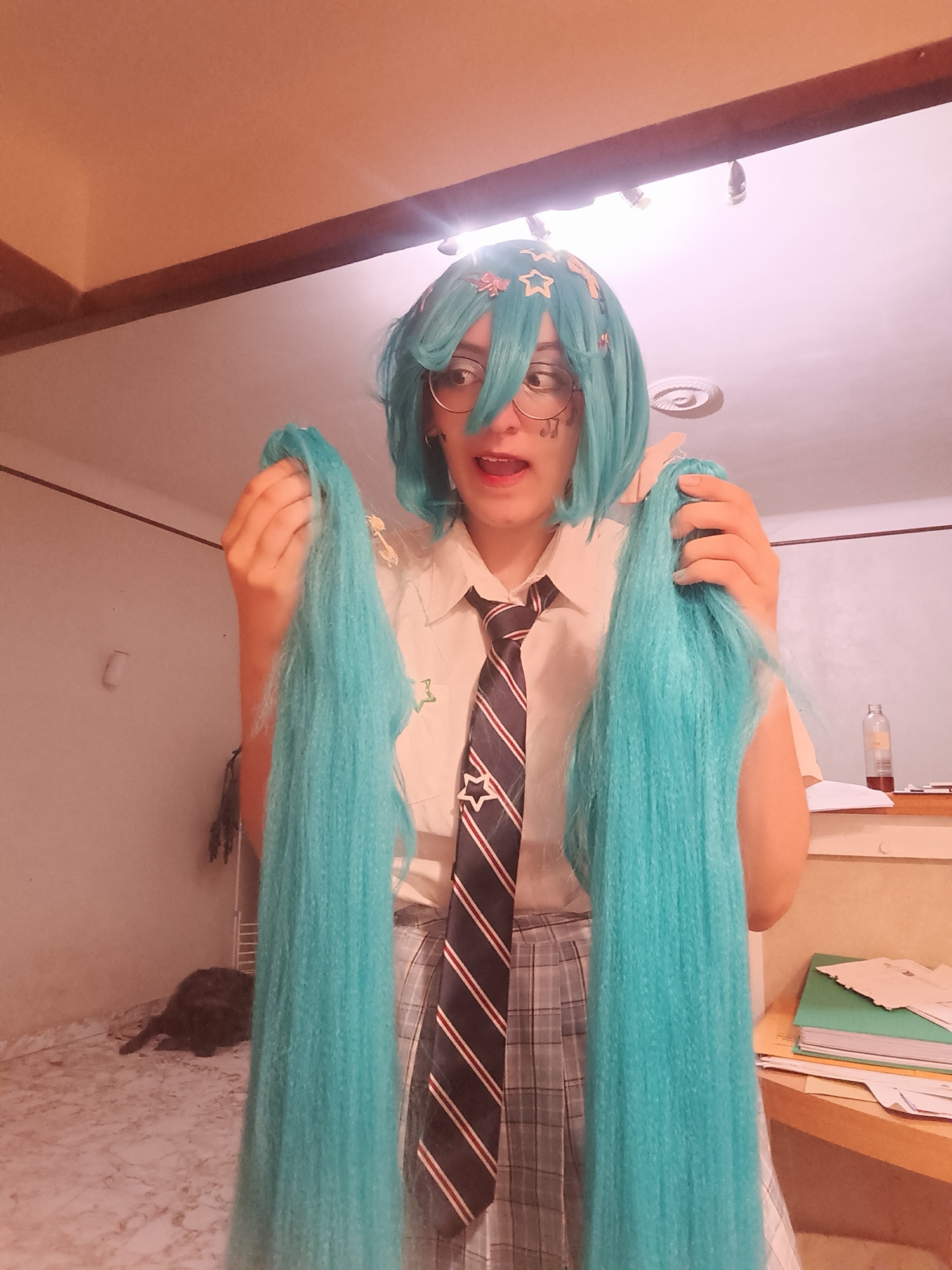 Hatsune Miku ♪, photo 6