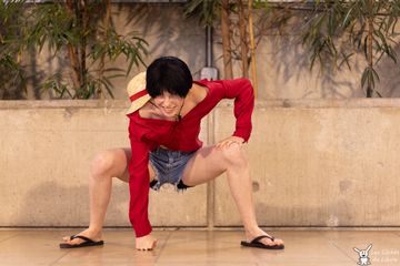 Luffy preview 3