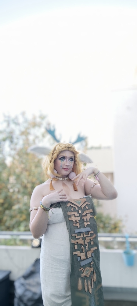 Zelda totk — photo 6