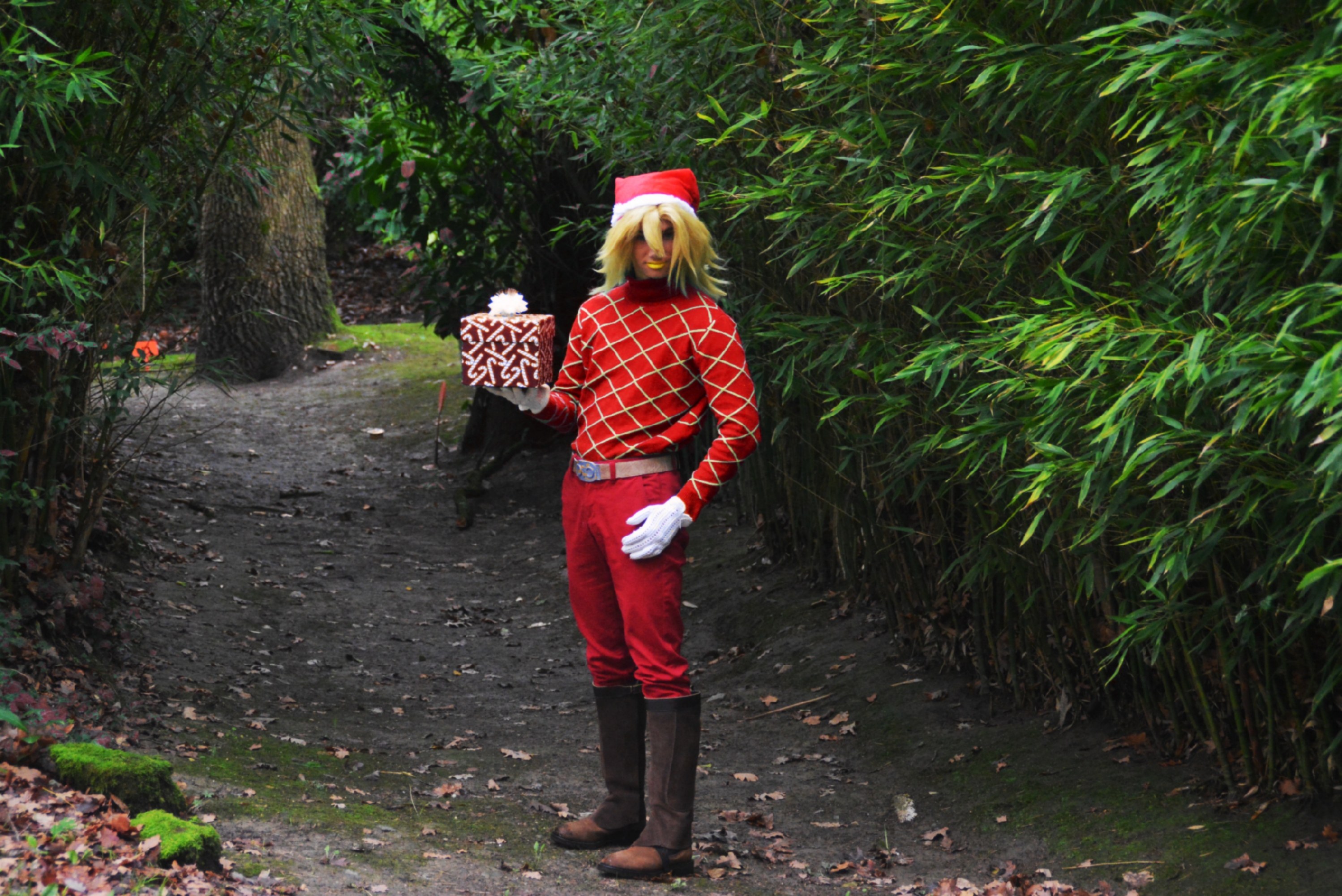 Diego Brando Noël — photo 6