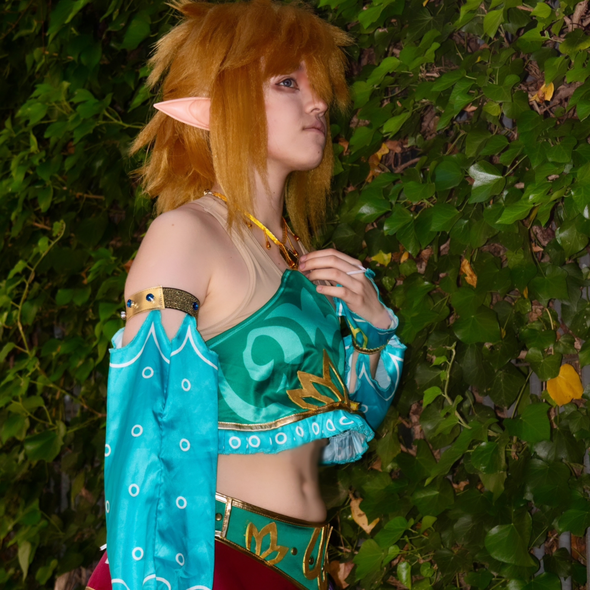 Link gerudo — photo 6