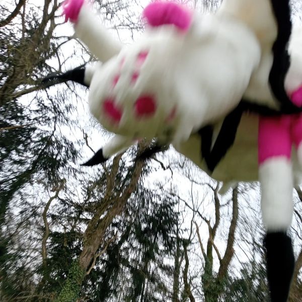 Dragona - Peluche kumoko
