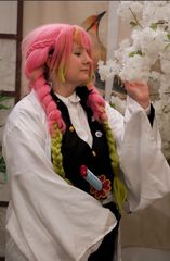 Mitsuri kanroji 🌸 preview 3