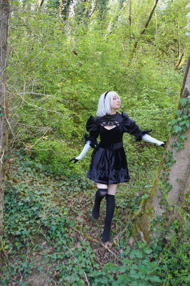 2B — photo 24