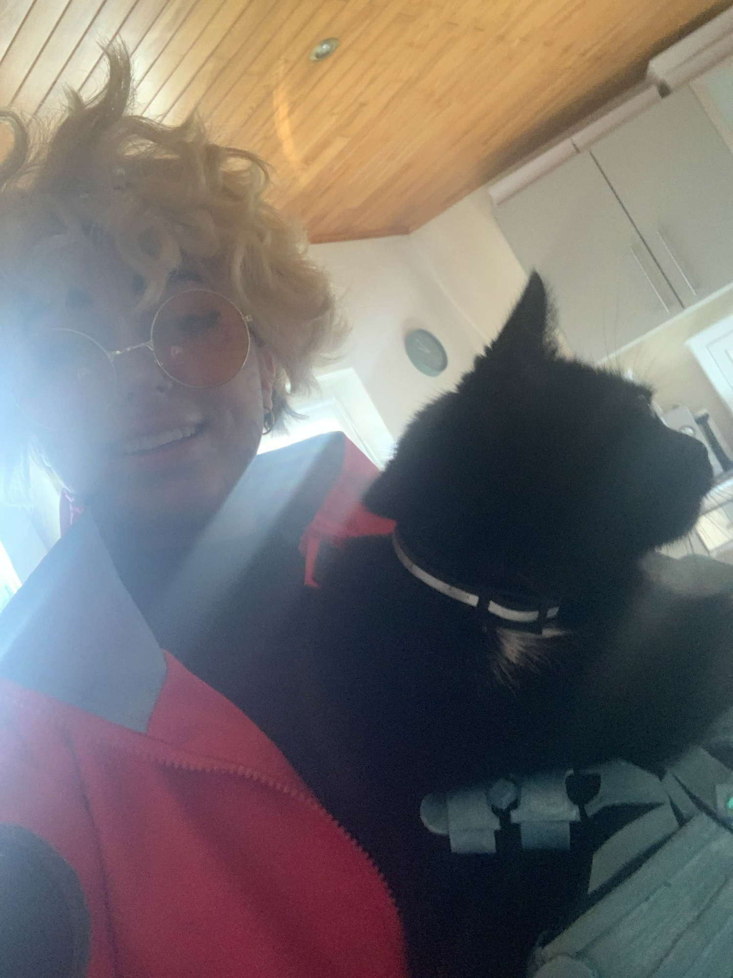 Vash stampede (2023) - Photo 2