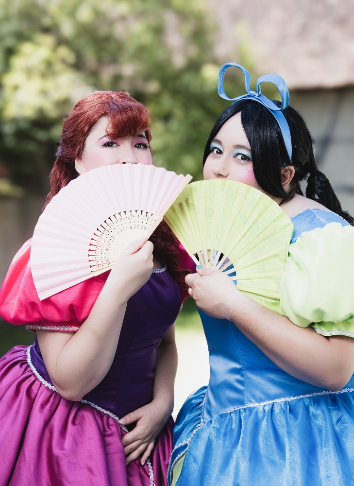 Anastasie et Javotte - Photo 8