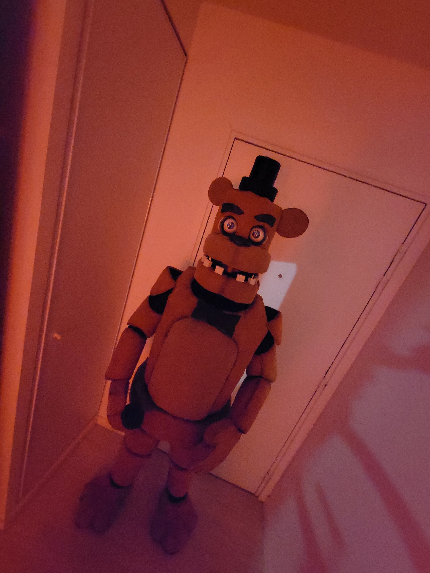 Freddy — photo 6