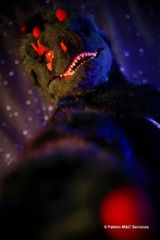 Gator preview 3