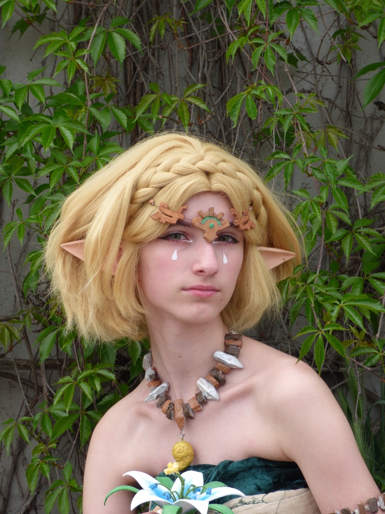 Zelda — photo 8