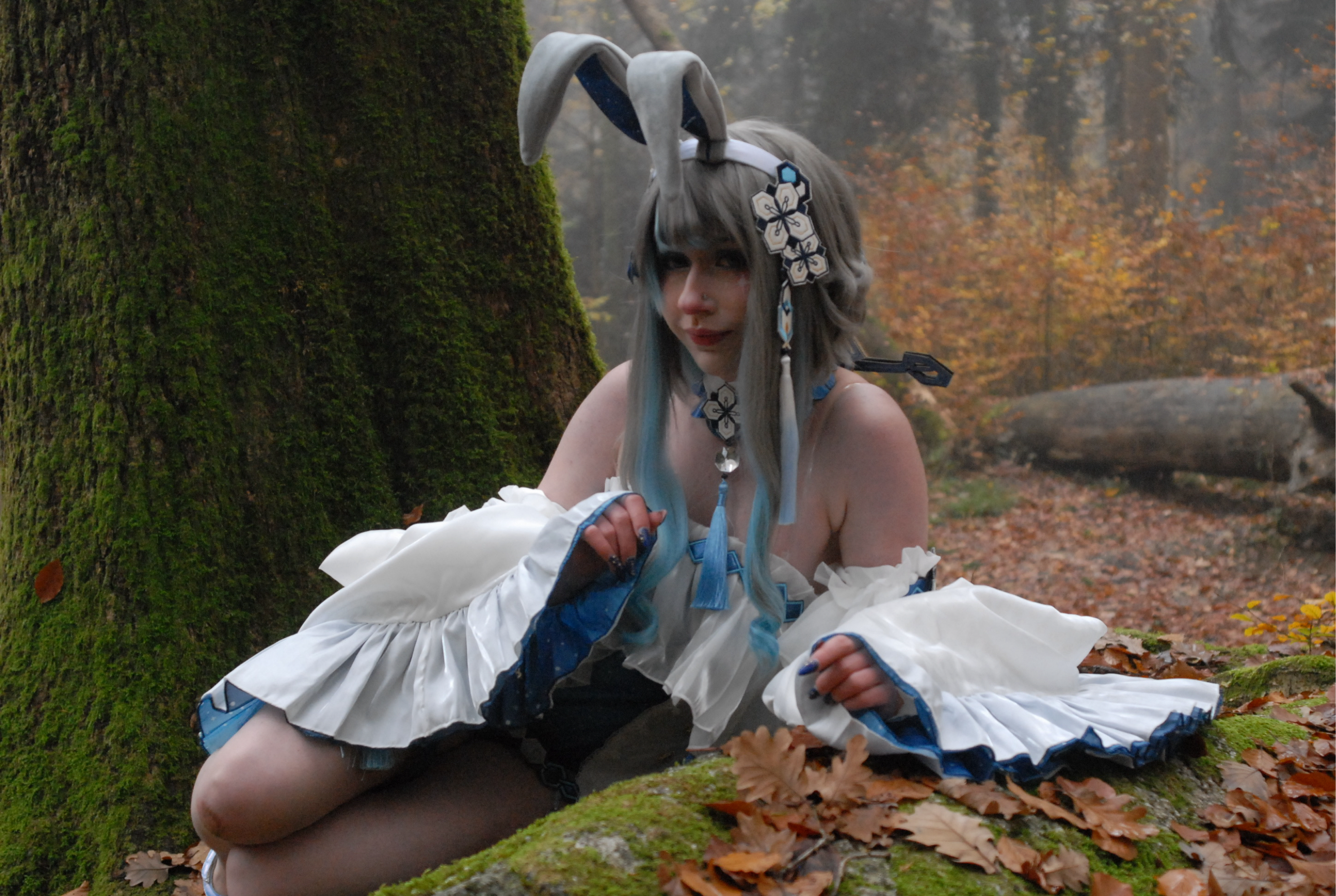 Guizhong Bunny — photo 8