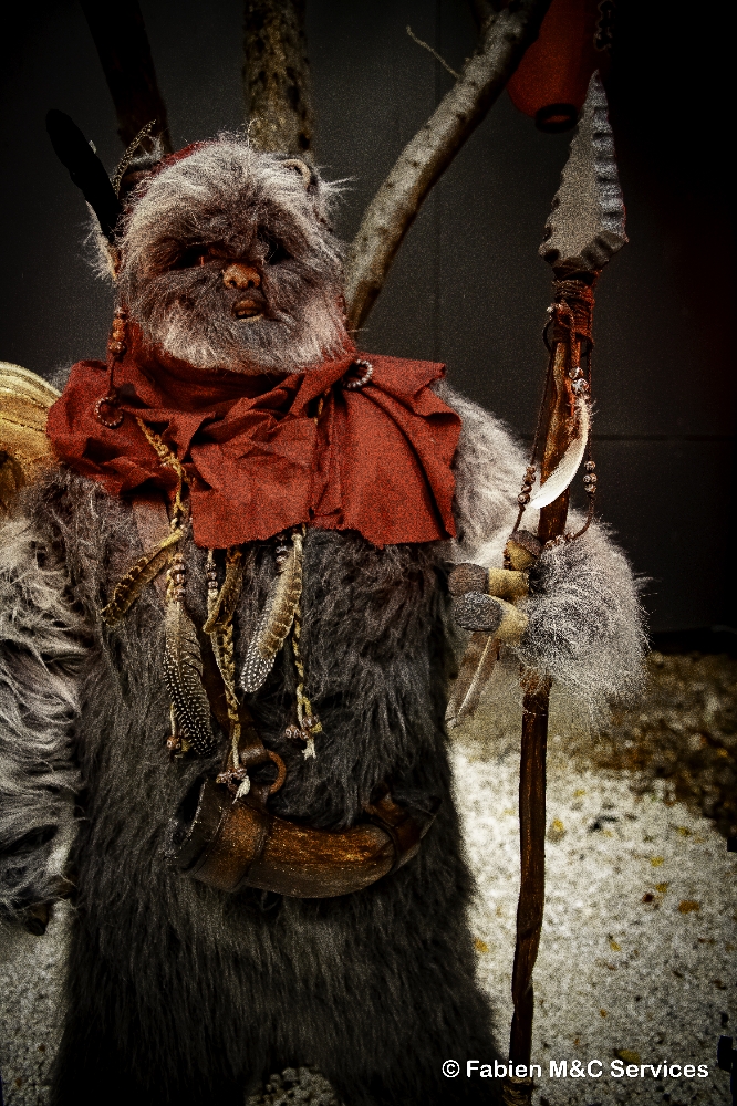 Un Ewok à Vitrolles - Photo 4