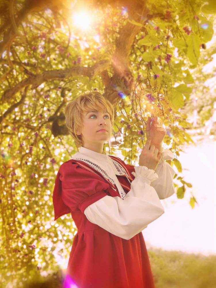 Joshua - Roseraie - Photo 5