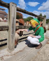 Link Lon lon preview 3