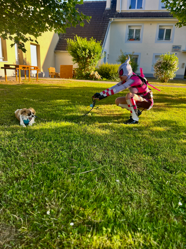 Gwenpool — photo 42
