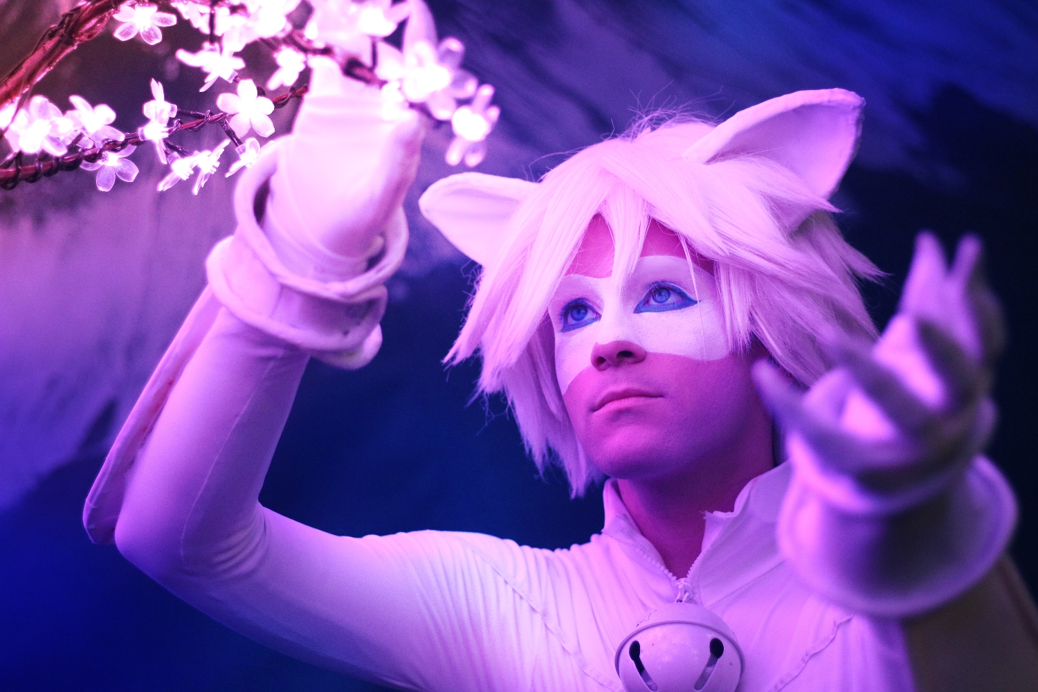 Miraculous ChatBlanc - Photo 1