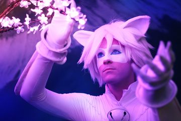 Miraculous ChatBlanc preview 2