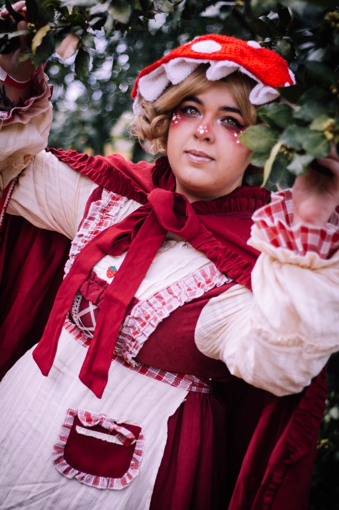 Mush - CRASH TEST - Photo 1