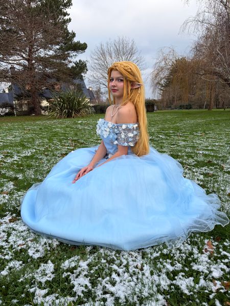 Tortue - Zelda snow 