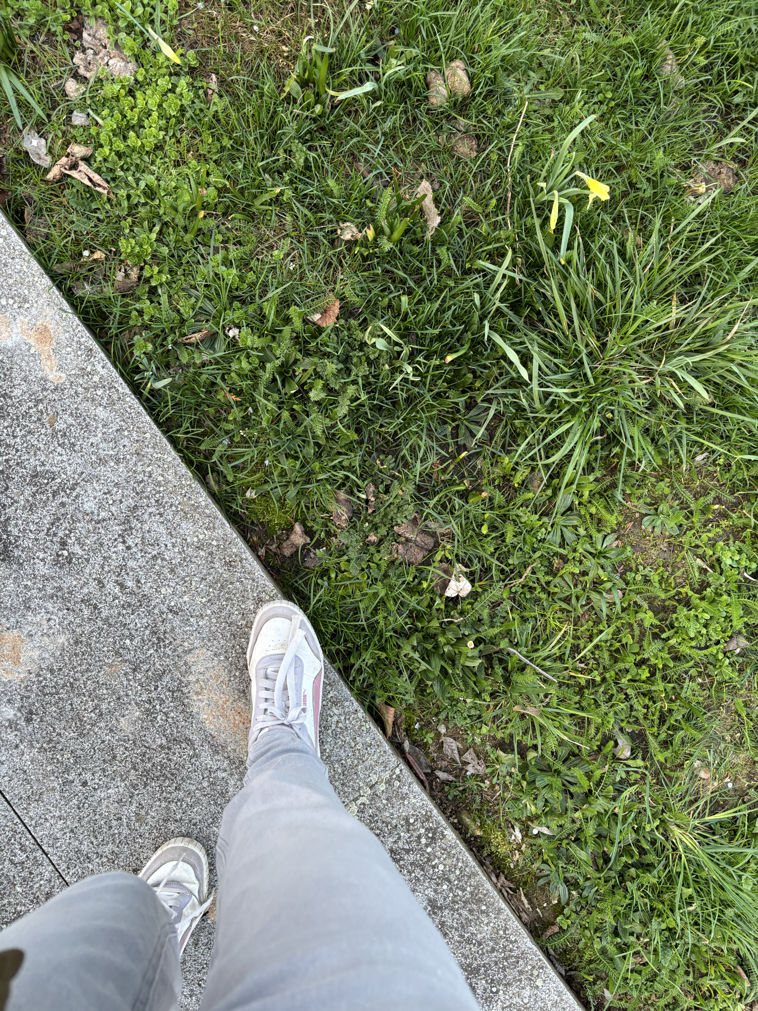 Miyo — photo 43