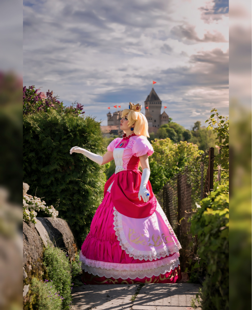Peach and the Castel - Photo 4
