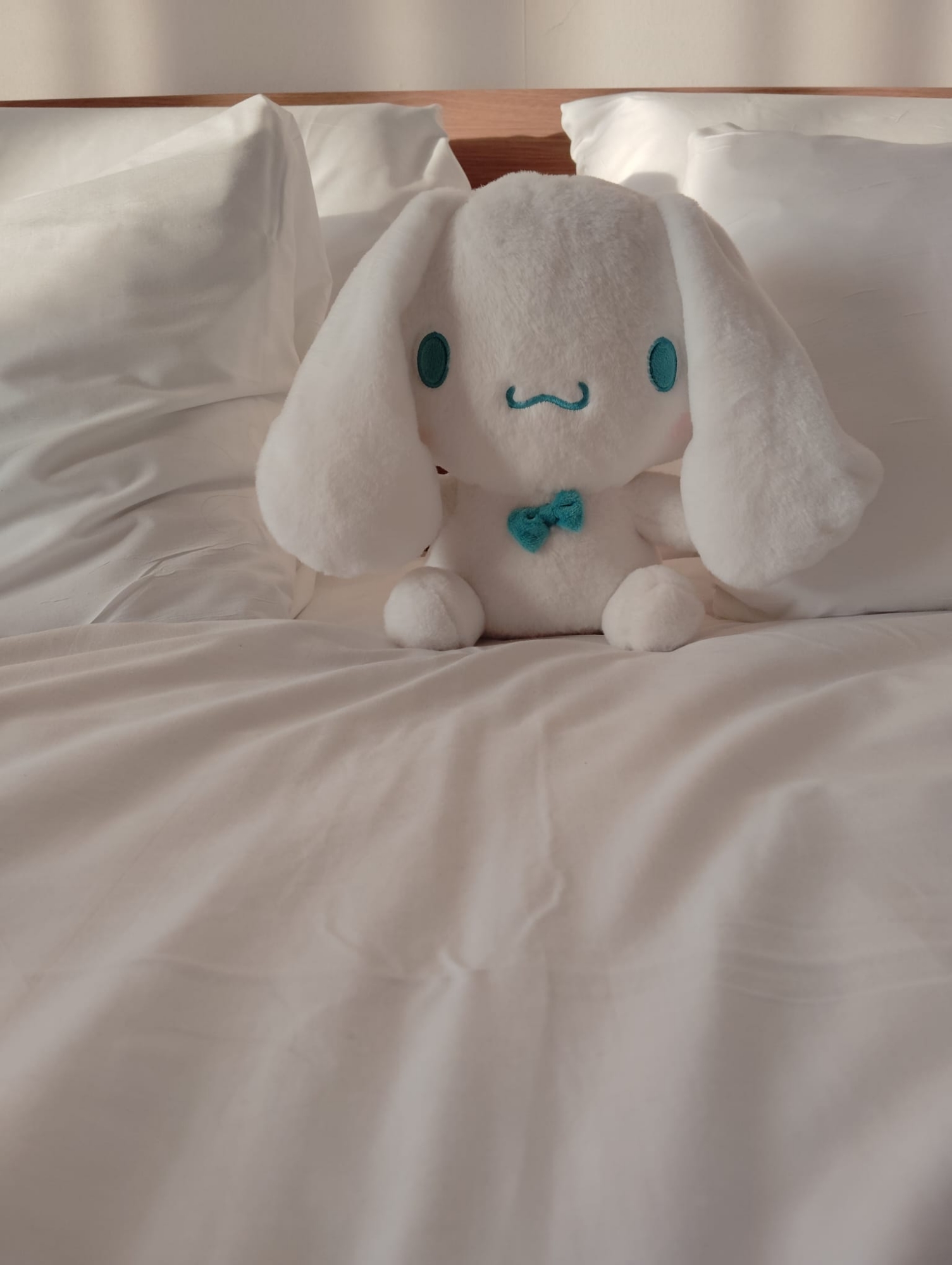 Cinamonroll 🌟 — photo 21