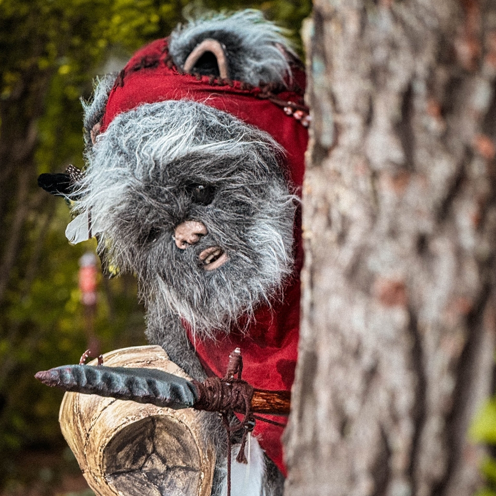 Un Ewok À Vitrolles