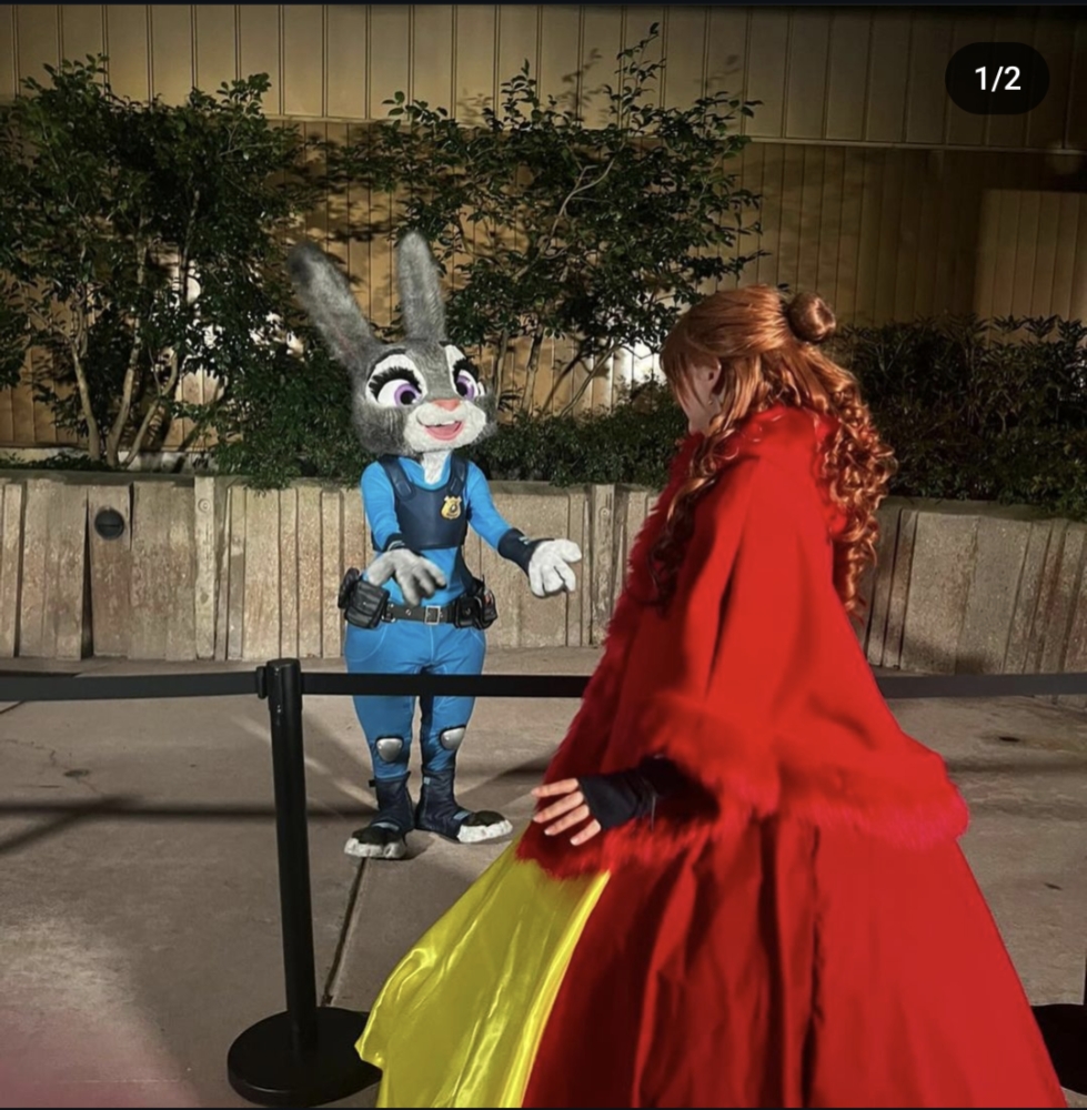 Belle noel - Photo 3