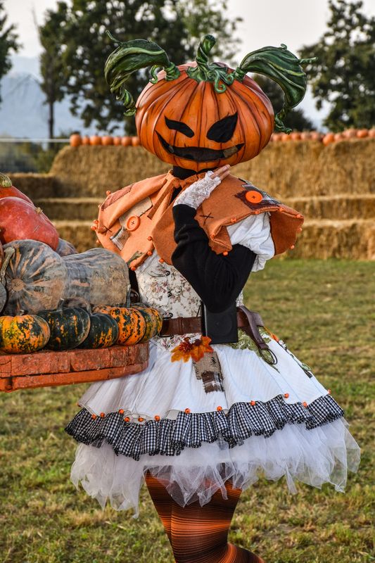 Mother_of_gatti – Lady Pumpkin 