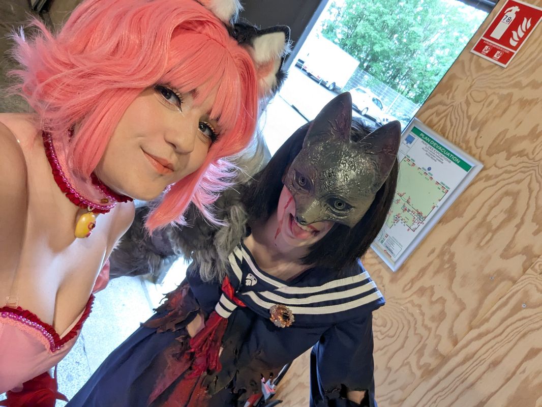 Lionara_artwork, Tokyo mew mew 