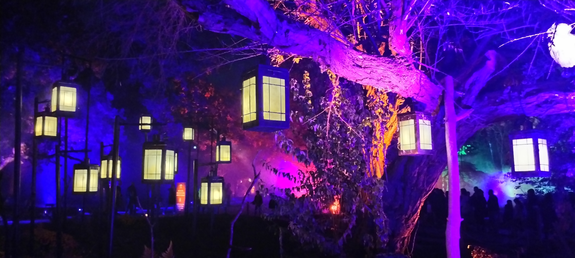 La forêt interdite - Photo 52