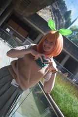 Yotsuba Nakano - QQ preview 2