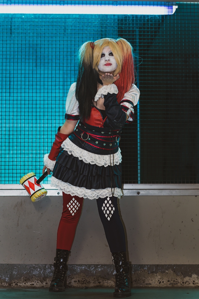 Harley quinn  - Photo 9