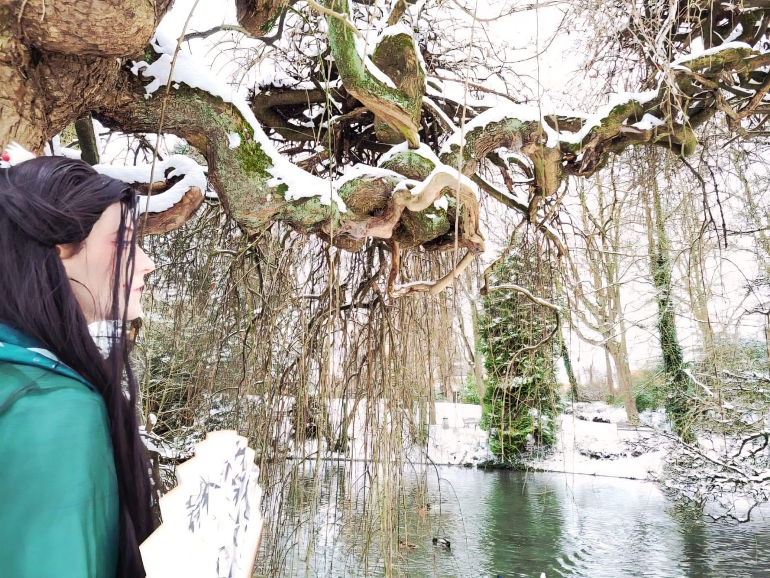 Sous la neige — photo 6