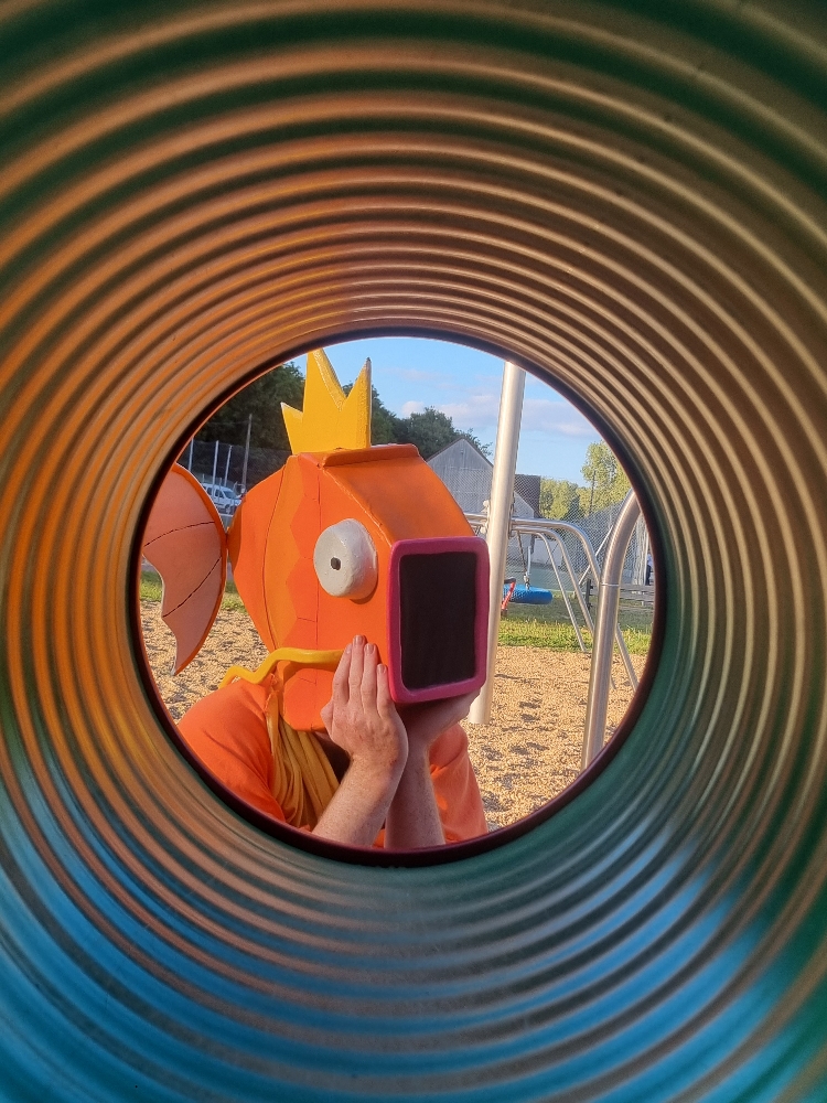 MoinegicarpeFlippant — photo 5