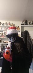 E-11 Noël preview 2