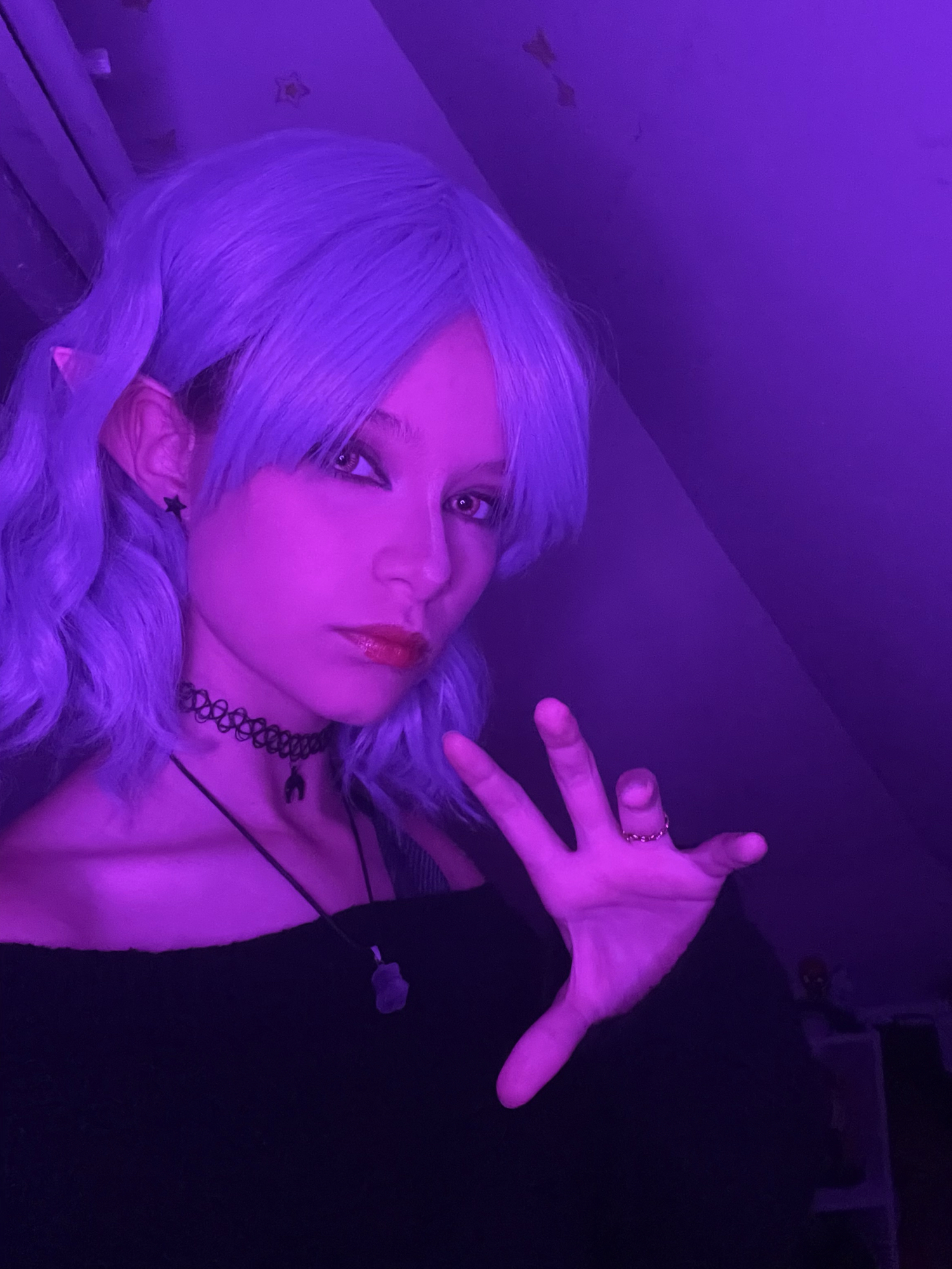 Amity blight  - Photo 4