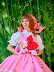 Sakura preview 2