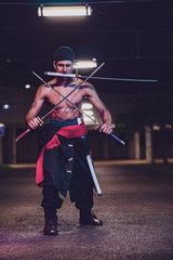 Zoro preview 3