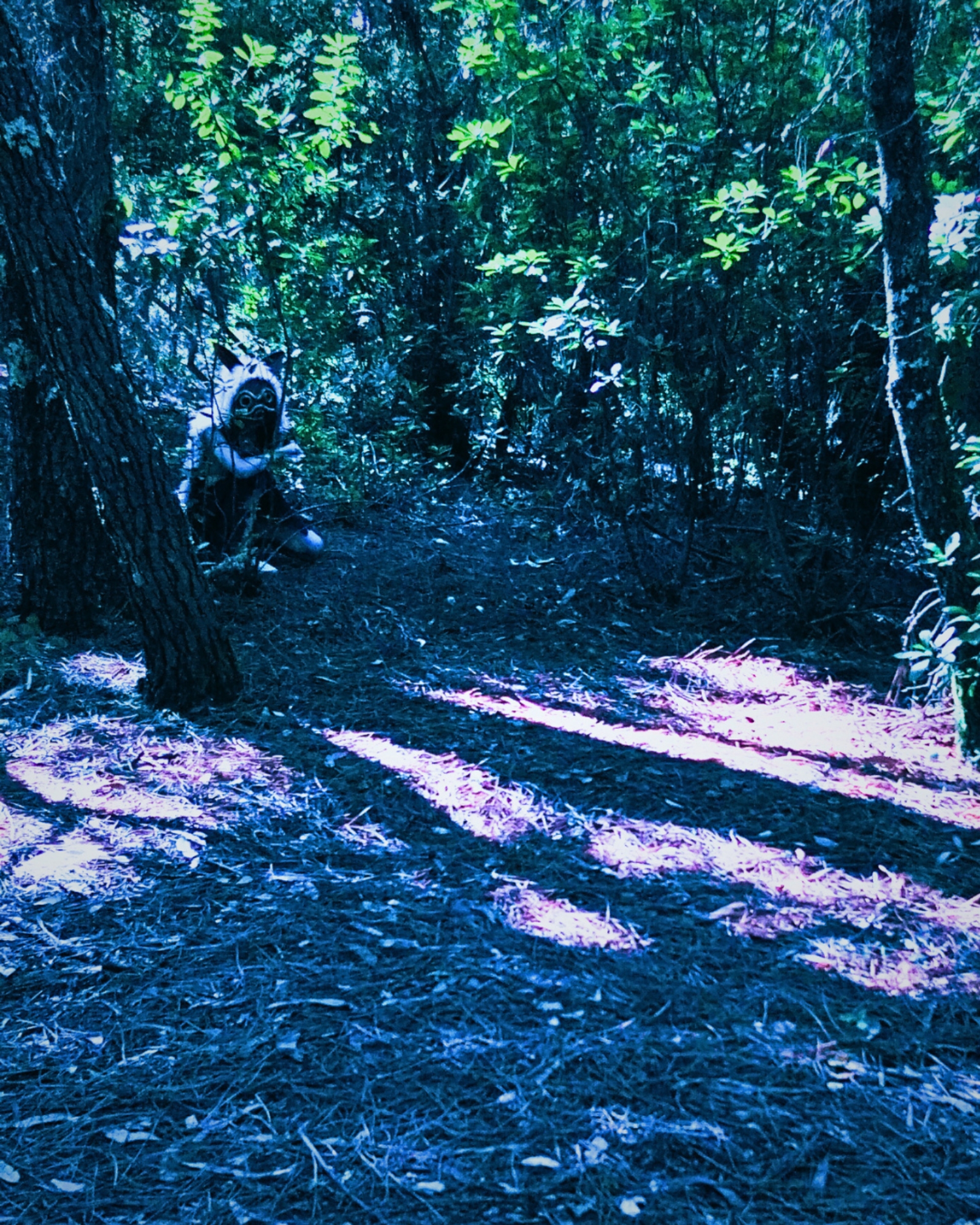 Princess Mononoke — photo 6