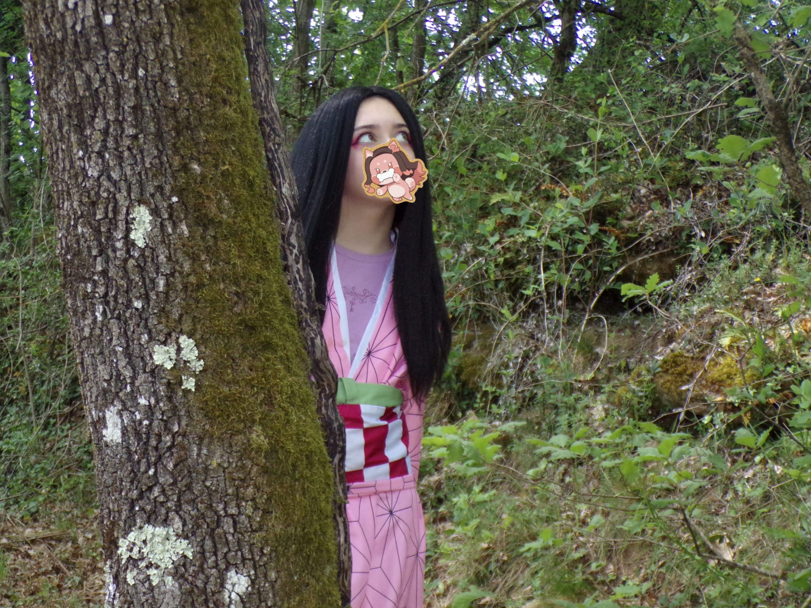 Nezuko — photo 10