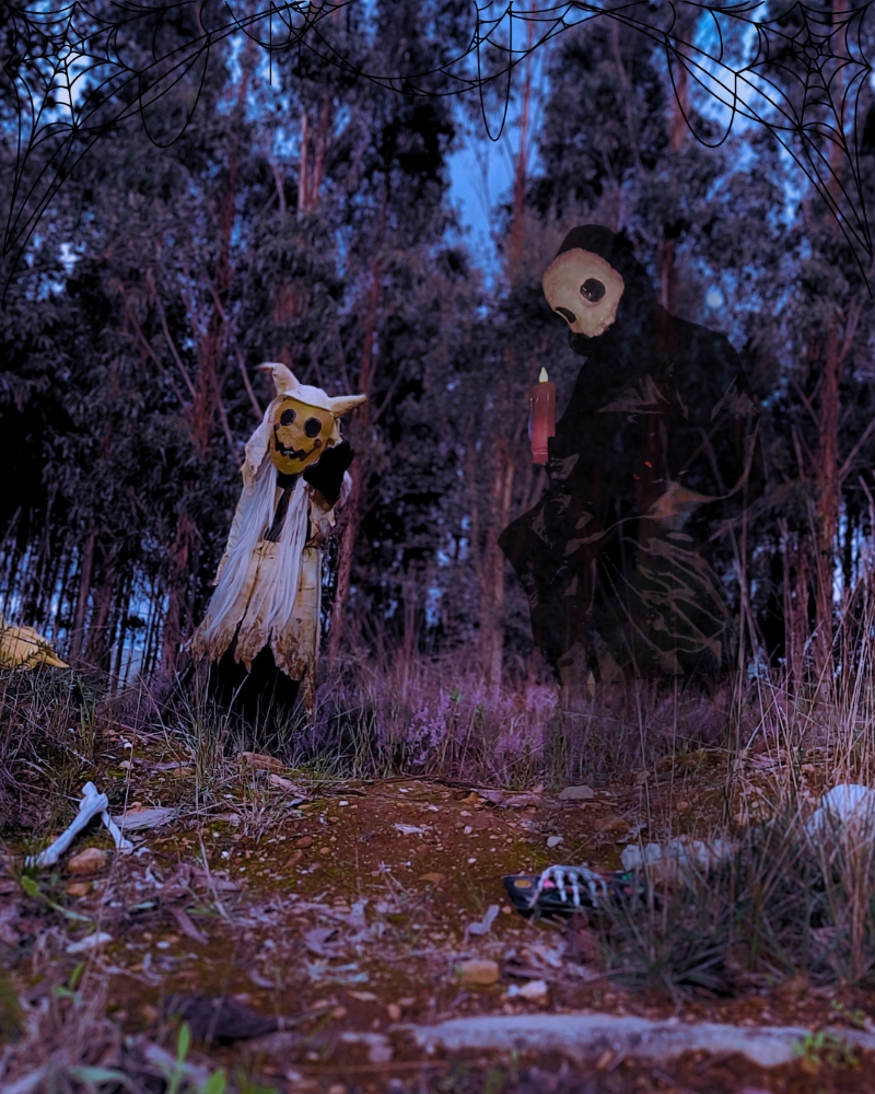 Halloween 2024 - Photo 6