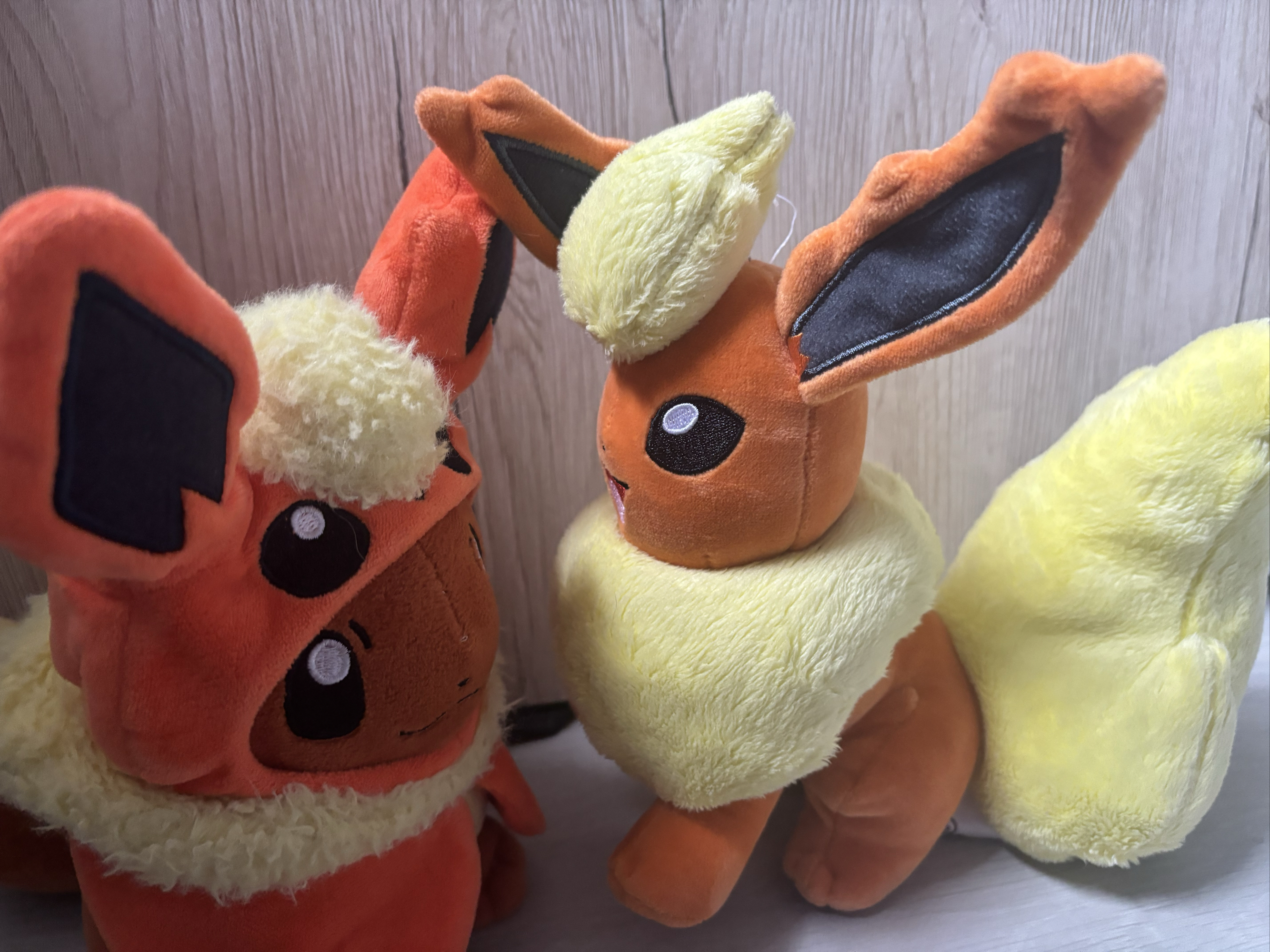 Evoli en Pyroli  - Photo 2