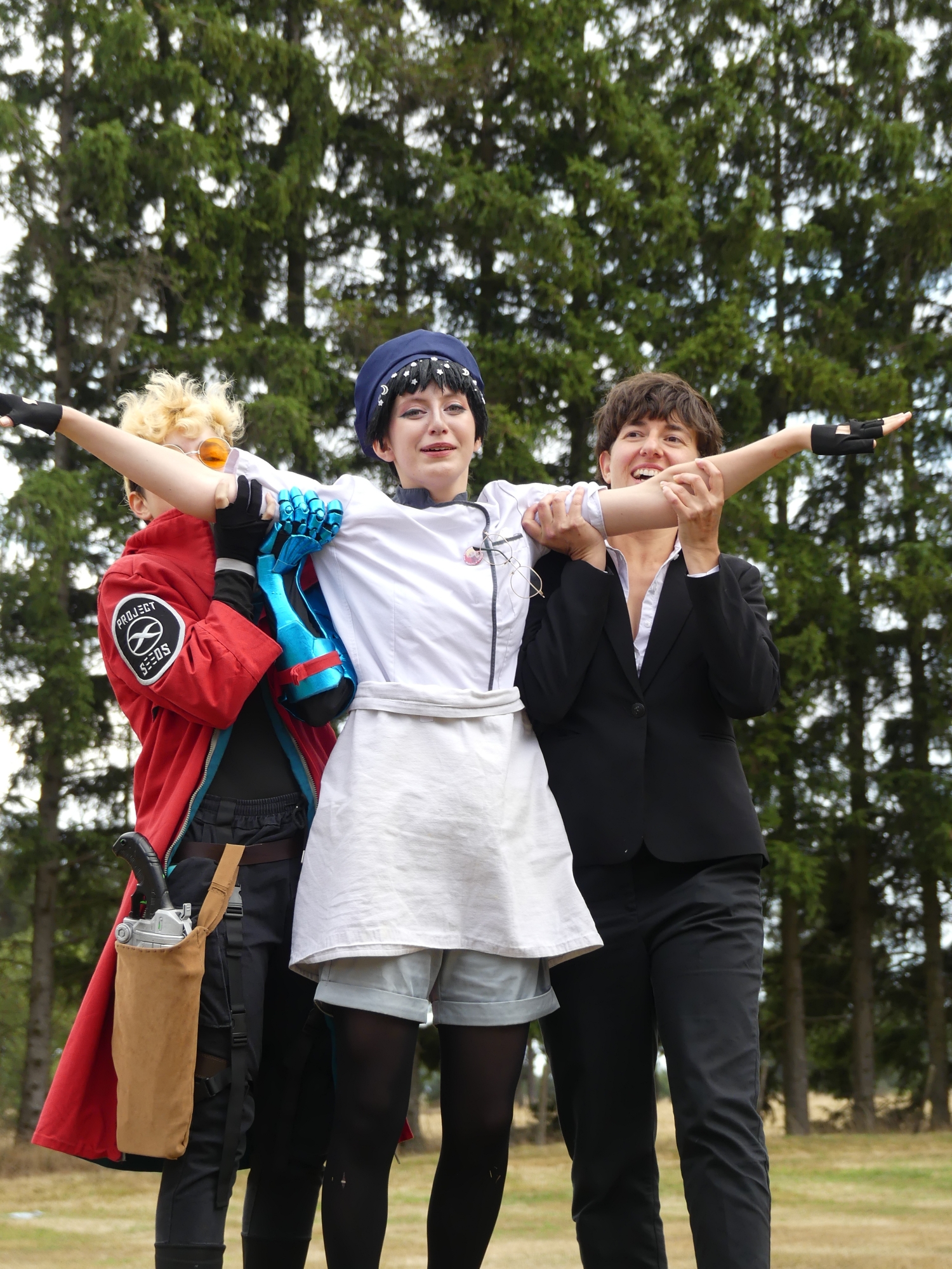 Gevaudan pop culture - Photo 9