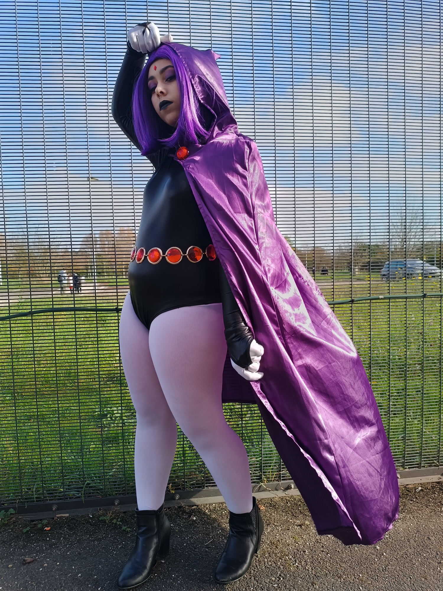 Raven — photo 10