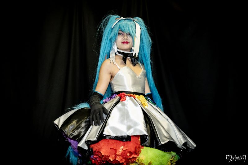 Phoenixas – Pictapop 2024