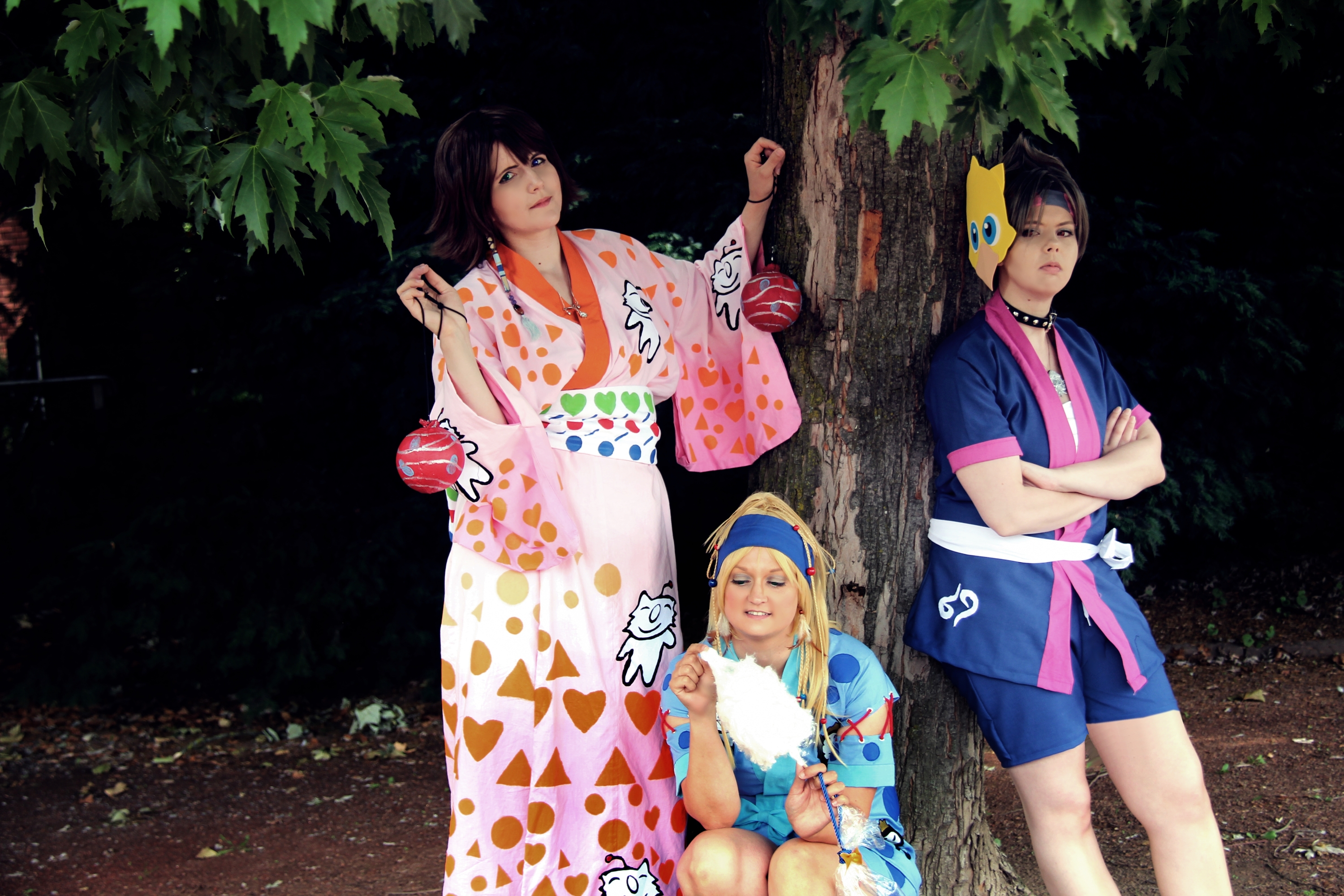 Y.R.P. Festivalist - Photo 13