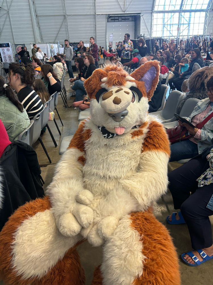 Chalon-sur-Saône  - Photo 2