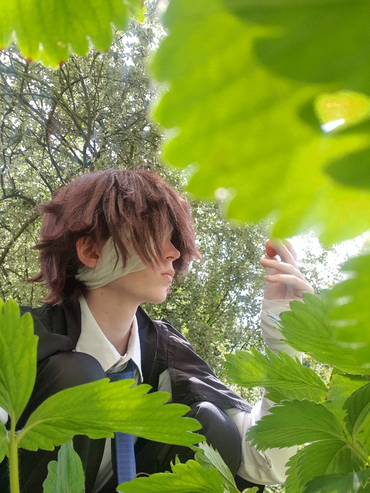 Dazai — photo 15